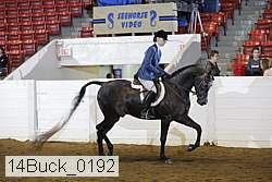 14buck_0192 proof