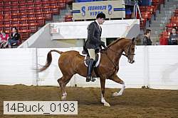 14buck_0193 proof