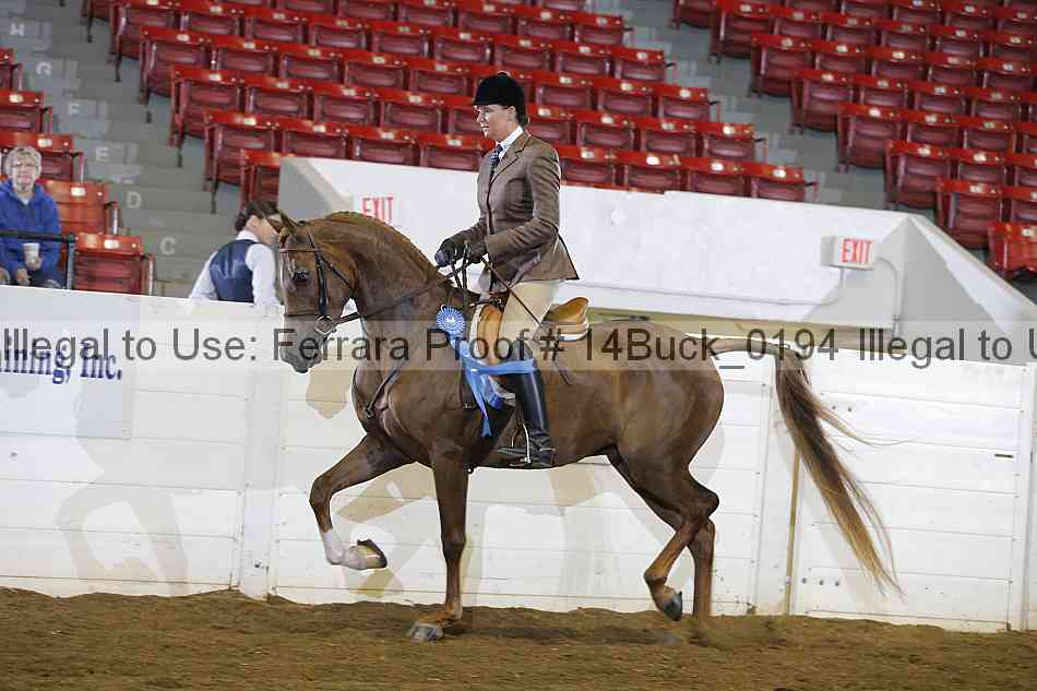 Proof 14buck_0194