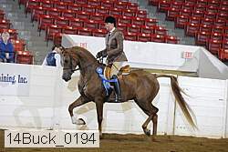 14buck_0194 proof