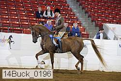 14buck_0196 proof