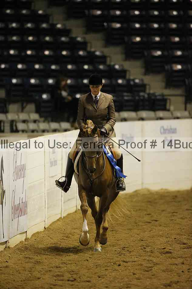 Proof 14buck_0197