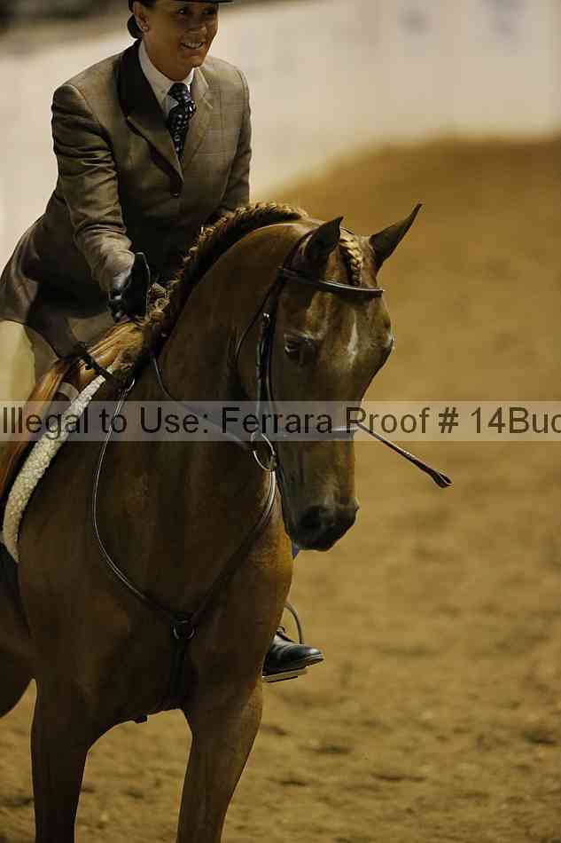 Proof 14buck_0199
