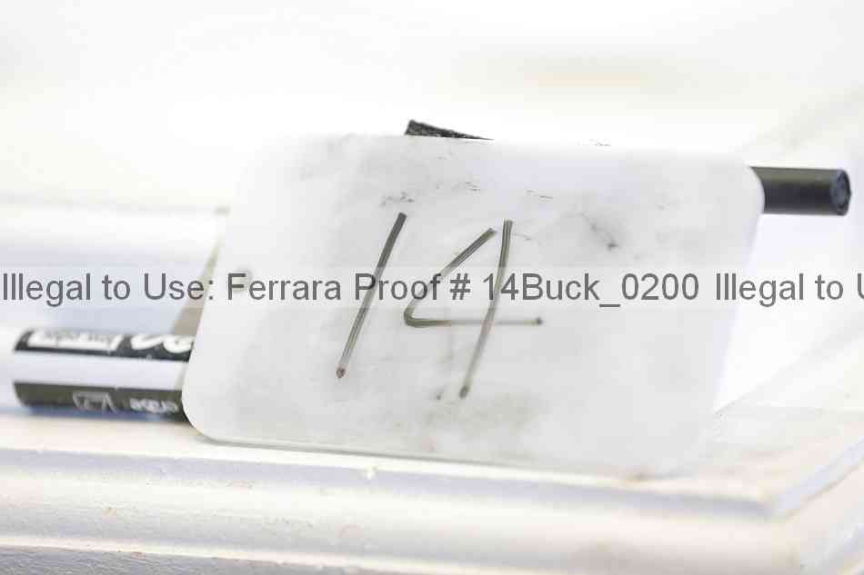 Proof 14buck_0200