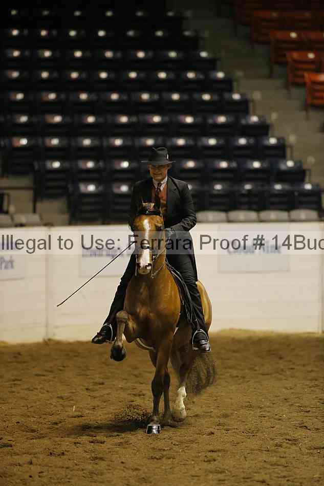 Proof 14buck_0202