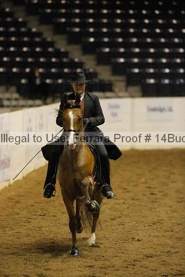 Proof 14buck_0203