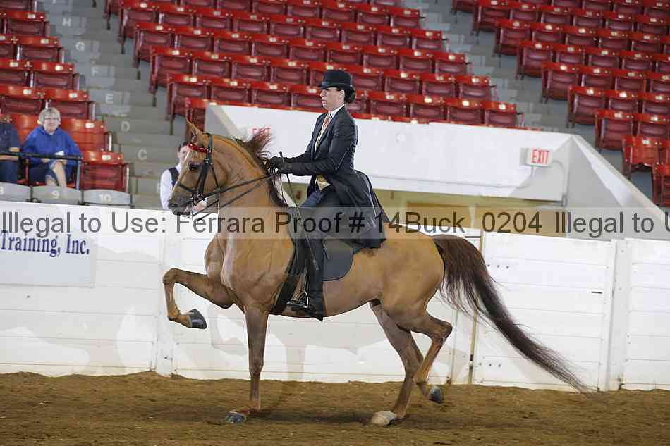 Proof 14buck_0204