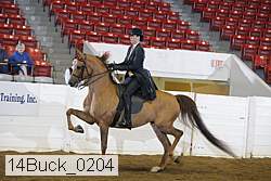 14buck_0204 proof
