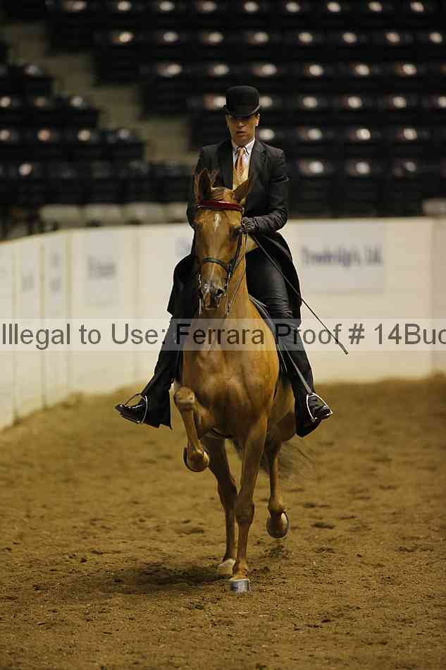 Proof 14buck_0205