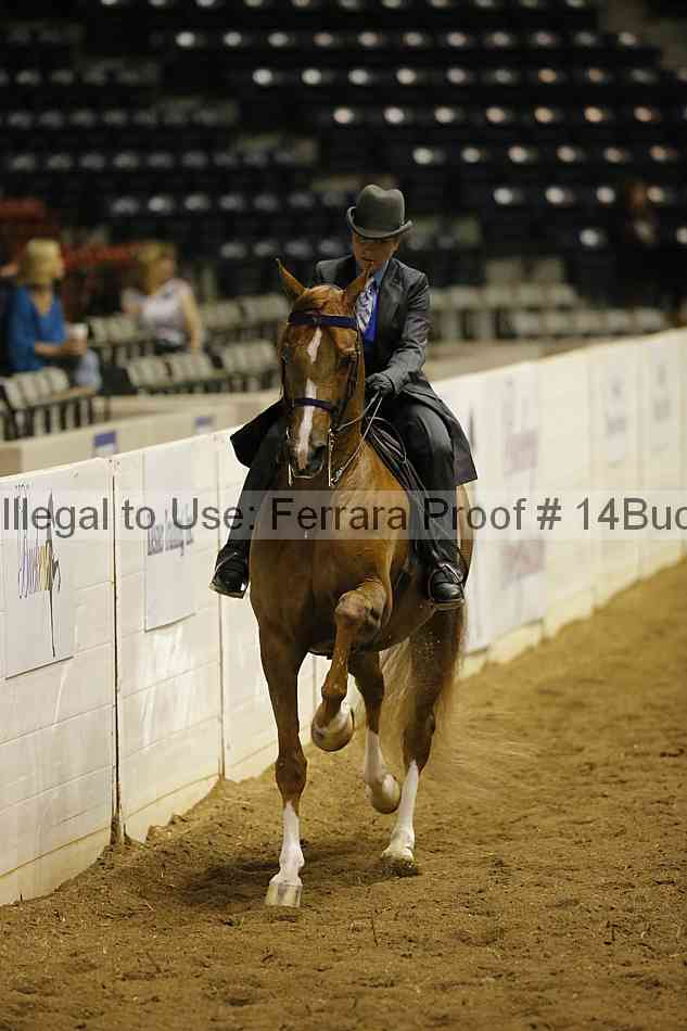 Proof 14buck_0206