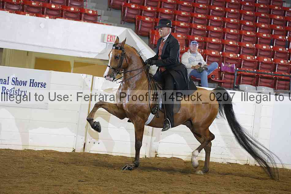 Proof 14buck_0207