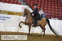 14buck_0207 proof
