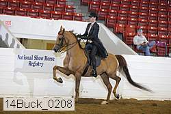 14buck_0208 proof