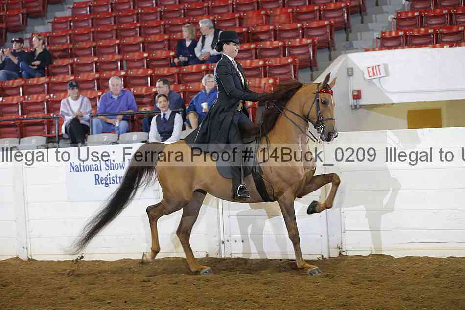 Proof 14buck_0209
