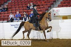 14buck_0209 proof