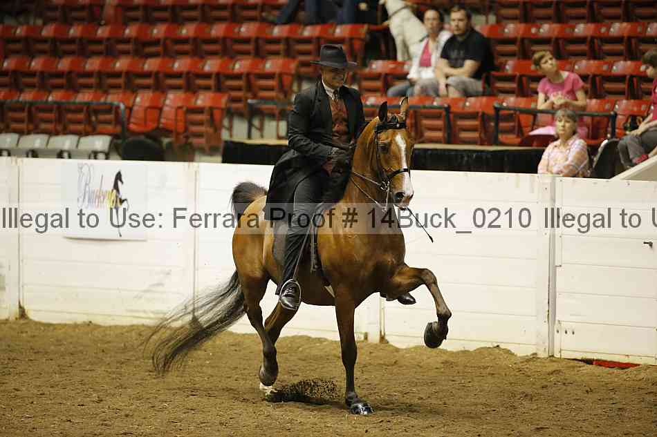 Proof 14buck_0210
