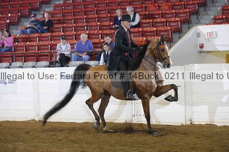 Proof 14buck_0211