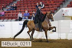 14buck_0211 proof
