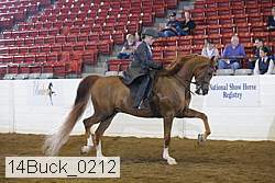 14buck_0212 proof