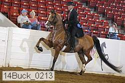 14buck_0213 proof