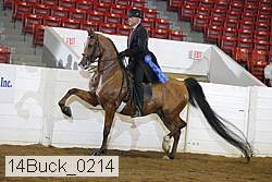14buck_0214 proof