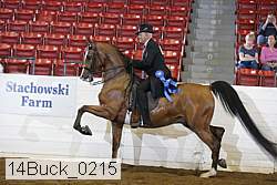 14buck_0215 proof