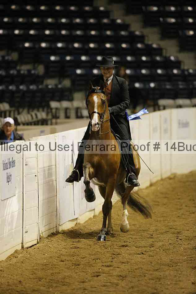 Proof 14buck_0216