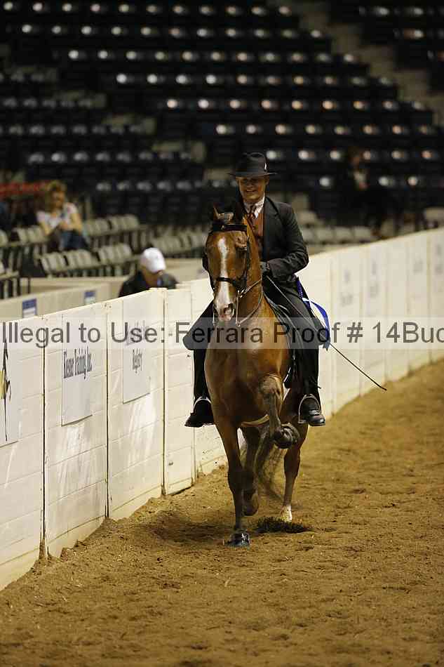 Proof 14buck_0217