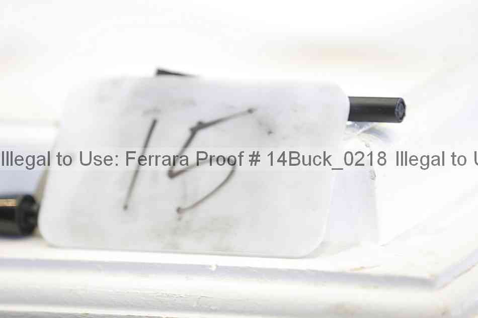 Proof 14buck_0218