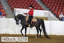 14buck_0219 proof