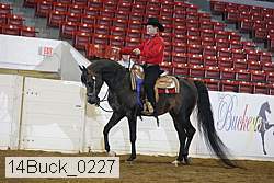 14buck_0227 proof