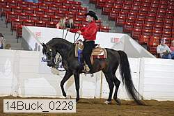 14buck_0228 proof
