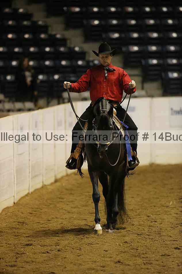 Proof 14buck_0229