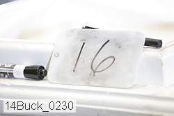 14buck_0230 proof