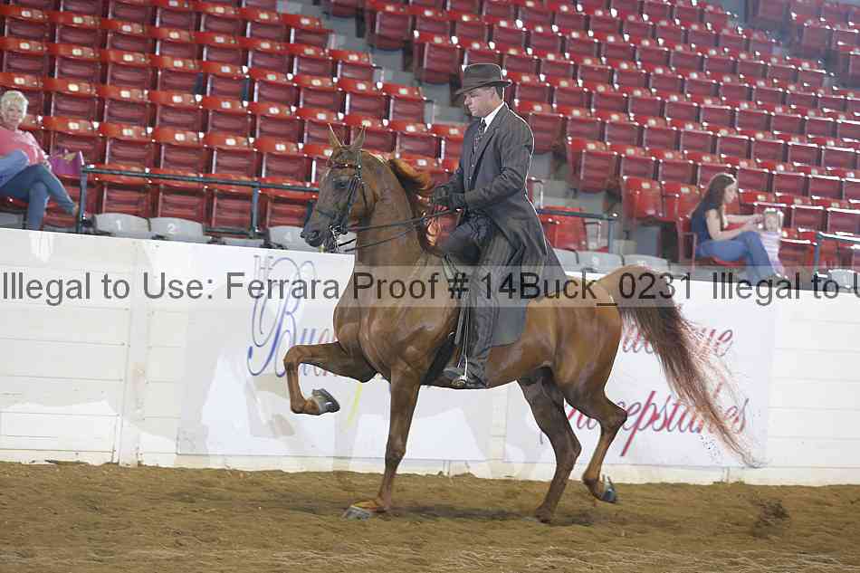 Proof 14buck_0231