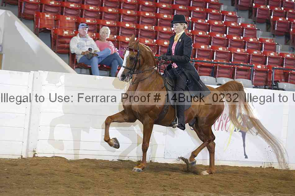 Proof 14buck_0232