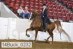 14buck_0232 proof