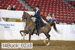 14buck_0233 proof