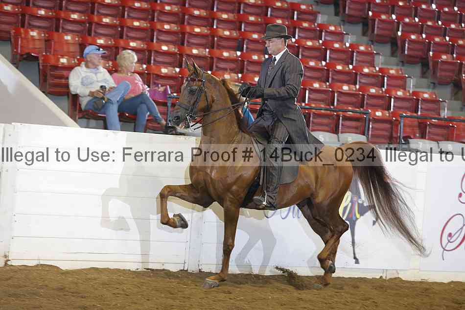 Proof 14buck_0234