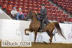14buck_0234 proof