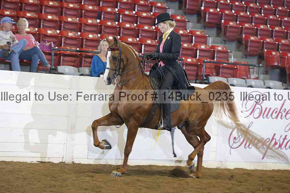 Proof 14buck_0235