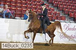 14buck_0235 proof