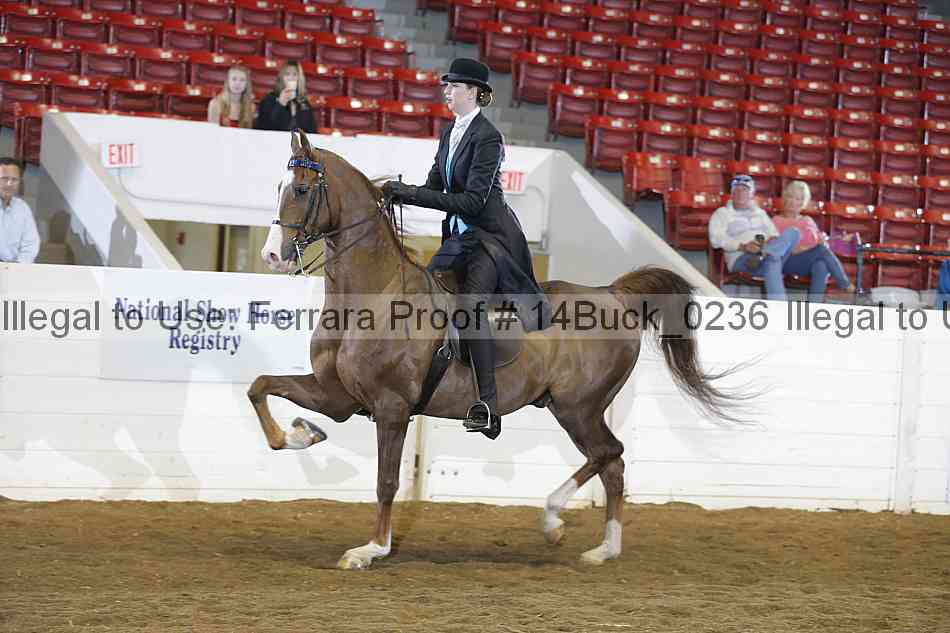 Proof 14buck_0236