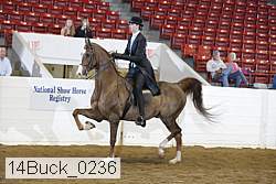 14buck_0236 proof