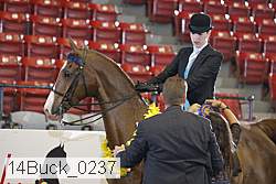 14buck_0237 proof