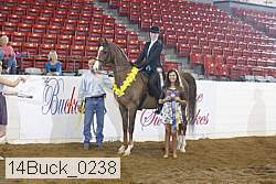 14buck_0238 proof