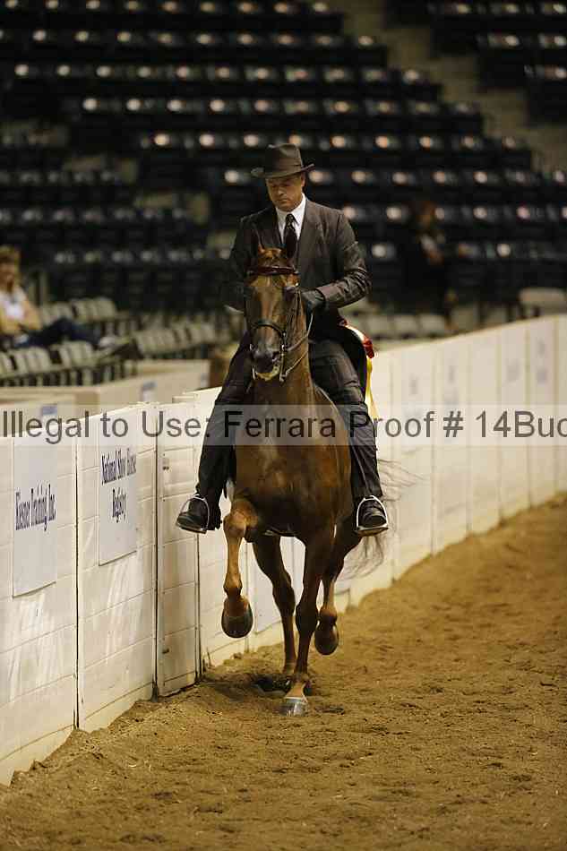 Proof 14buck_0241