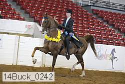 14buck_0242 proof