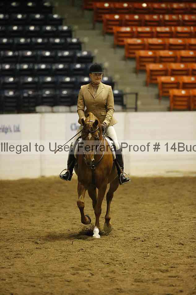 Proof 14buck_0248