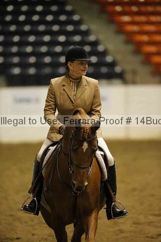 Proof 14buck_0250
